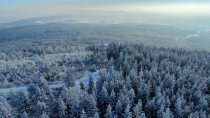 Czerniec 6