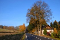 Vlkovice  a new road